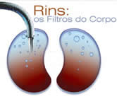 Nefrologia e Nefrologista na Barra da Tijuca